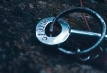 key findings on numbers