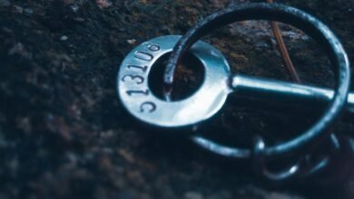 key findings on numbers