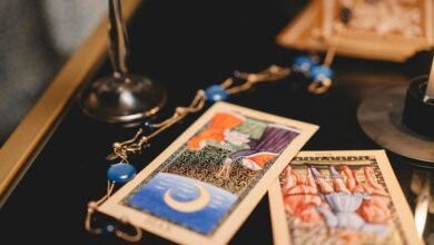 predictive insights for portfolios